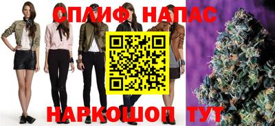 трава Гатчина