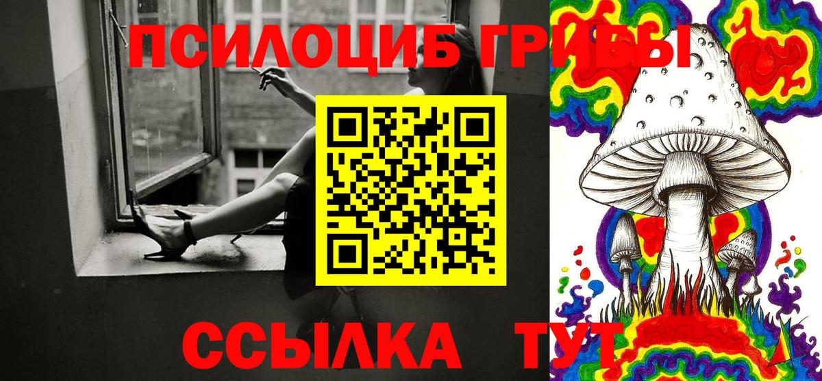 Псилоцибиновые грибы ЛСД  наркотики  Новозыбков  Вход с VPN 